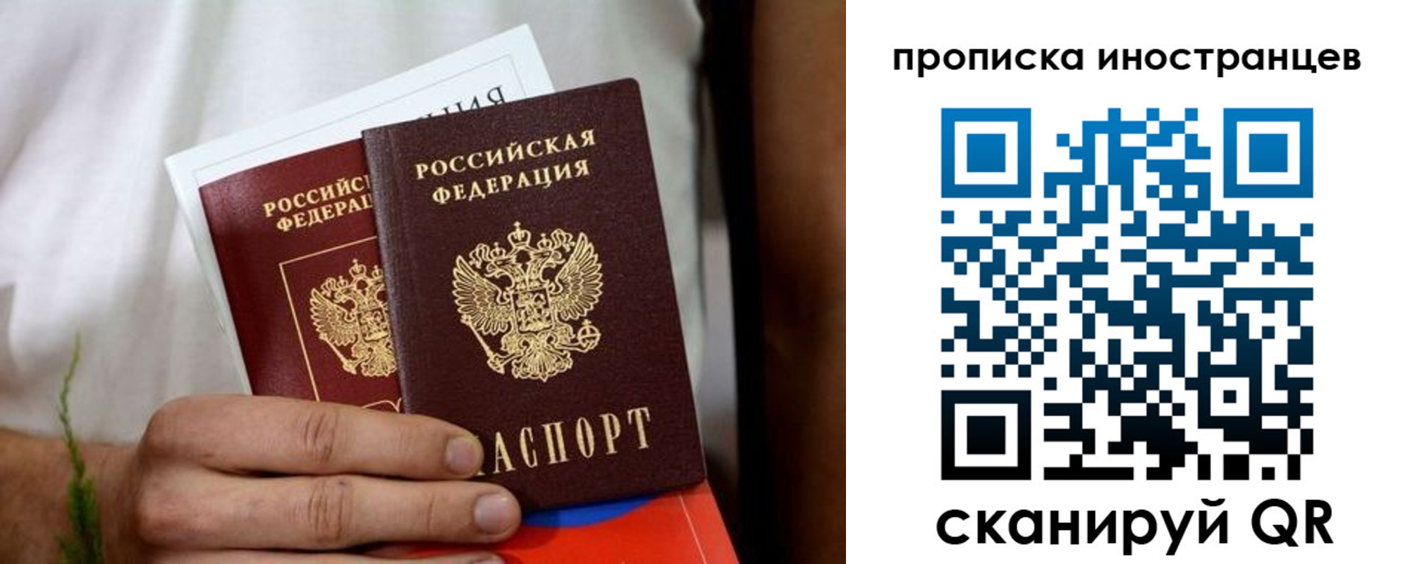 найти адрес прописки в Димитровграде